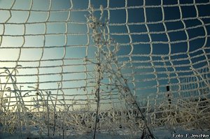 Sonnig-frostiger Morgen