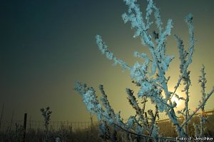 Sonnig-frostiger Morgen