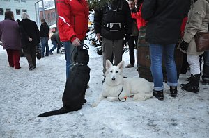 4.Advent auf den Weihnachtsmarkt