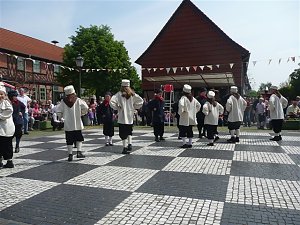 Ein Schachjahr im R&uuml;ckblick