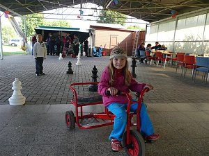 Ein Schachjahr im R&uuml;ckblick