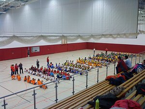 Zweifelderball