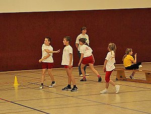 Zweifelderball