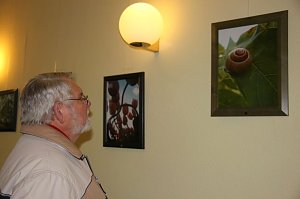 Ausstellung er&ouml;ffnet