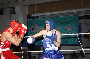 Grandiose Boxnacht
