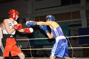 Grandiose Boxnacht