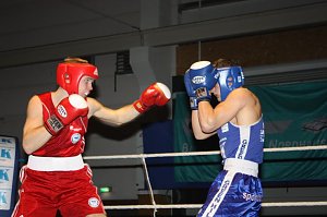 Grandiose Boxnacht