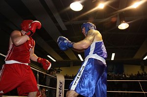 Grandiose Boxnacht