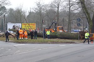 Umgest&uuml;rzt