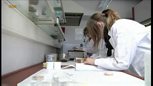 Wissenschaft erfahren