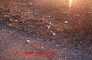 M&uuml;ll statt Sonnenuntergang