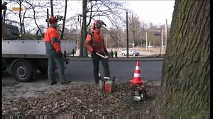 Umgerissen