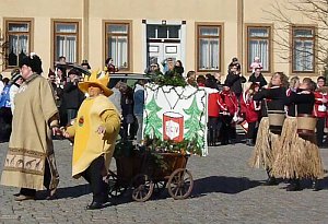 Narren auf dem Anger