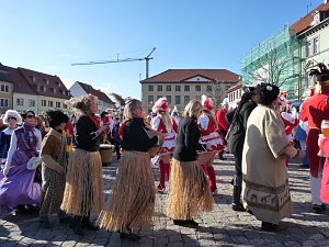 Narren auf dem Anger