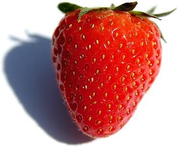 Bild: Erdbeere
