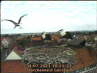 Bild: Erster Flug