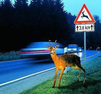 Bild: Vorsicht
