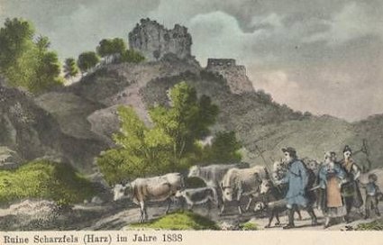 Bild: Burg Scharzfeld
