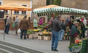 Bild: Blumenmarkt