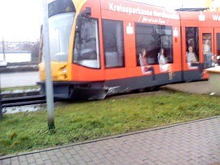 Bild: Rausgesprungen