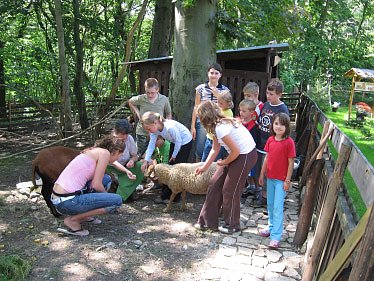 Bild: Betreuer gesucht