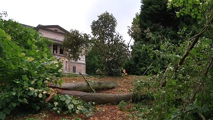 Bild: Der Park Hohenrode kam vergleichsweise glimpflich davon