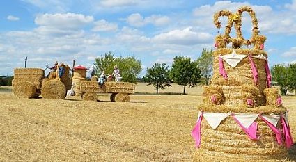 Bild: Nach Obertopfstedt zum Dreschfest