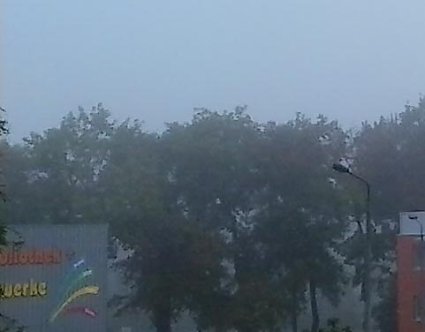 Bild: Neues aus Sondershausen