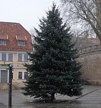Bild: Weihnachtsbaum