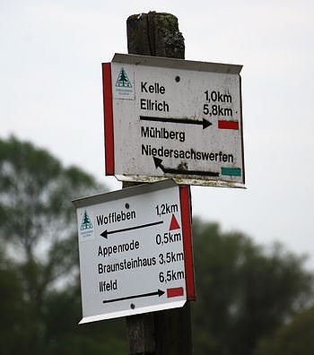 Bild: Sinnloses Geld