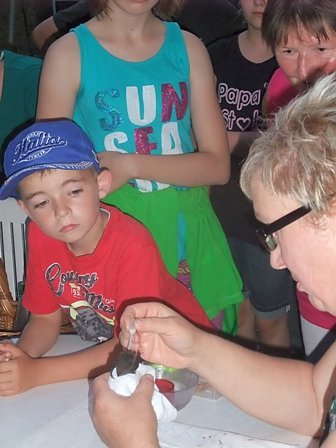 Fledermausbeobachtung (Foto: Ralf Peiler)