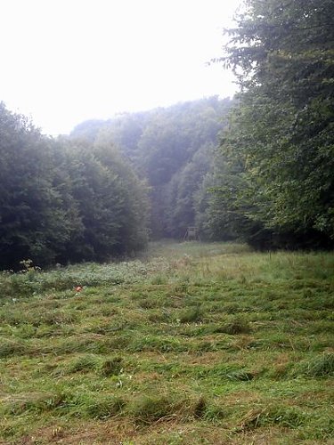 Geschafft (Foto: Forstamt)