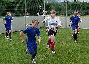 Info-Abend des DFB (Foto: Karl-Heinz Herrmann)
