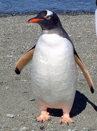 Klima wandelt Th&uuml;ringen (Foto: Rene Most)