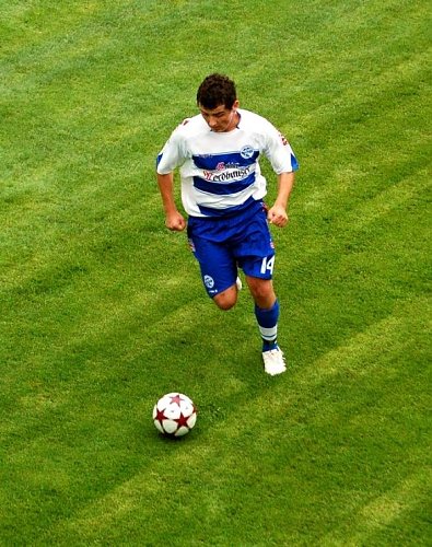 Vopel (Foto: Verkouter)