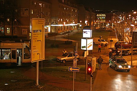 nnz-Foto des Tages: Weiteres Opfer (Foto: nnz)