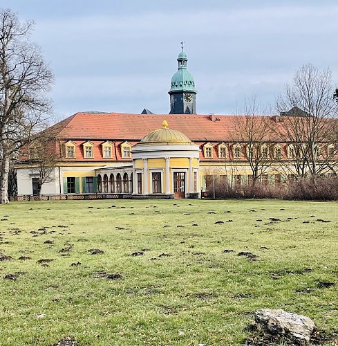 Der Osterhase war sehr flei&szlig;ig im Schlossmuseum in Sondershausen. (Foto: Archivfoto: Janine Skara)