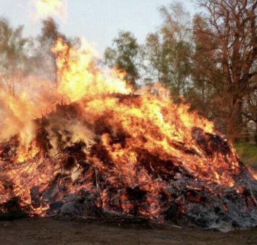 Das Walpurgisfeuer lodert auch in Steigerthal. (Foto: Beatrix Jerke)