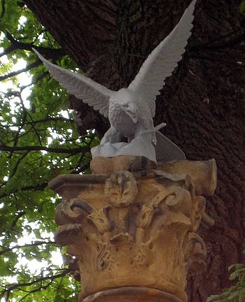 Bild: Der Adler