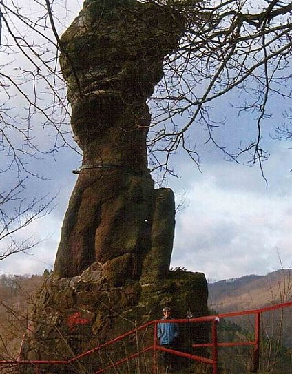 Bild: G&auml;nseliesel