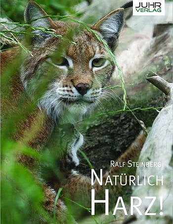 Bild: Covertitel
