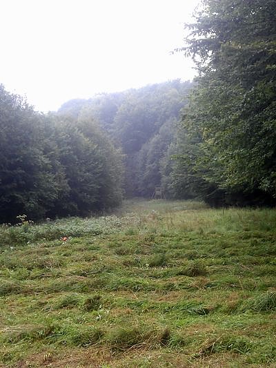 Bild: Geschafft