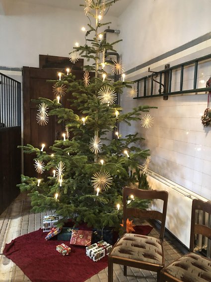 Bild: Advent im Park Hohenrode