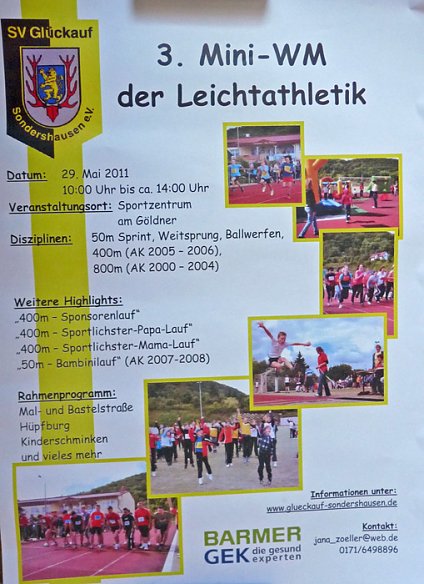 Bild: Flyer Mini-WM