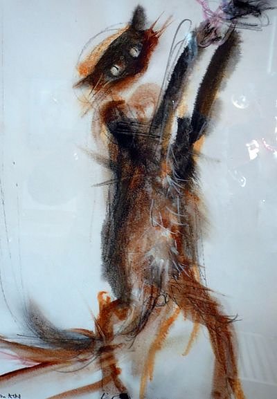Bild: Im Jahr der Katze