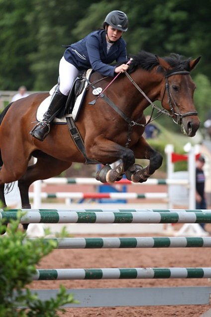 Bild: Reitturnier