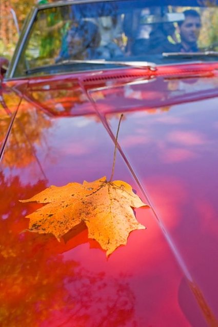 Bild: Es wird Herbst