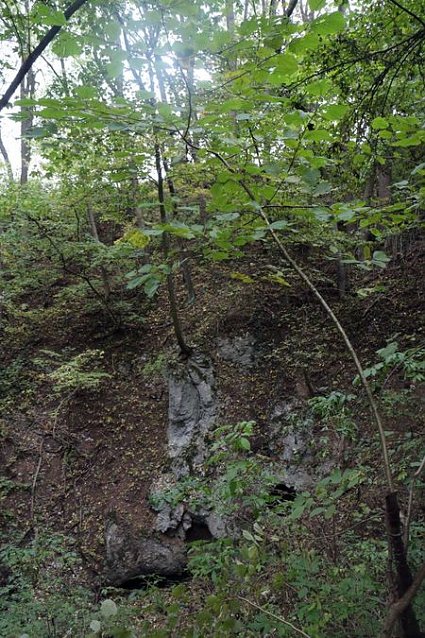 Bild: 30 Meter tief, 80 Meter im Umfang - der Erdfall ist eindrucksvoll, von au&szlig;en aber kaum wahrnehmbar
