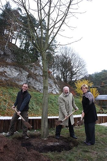 Bild: Baum gepflanzt