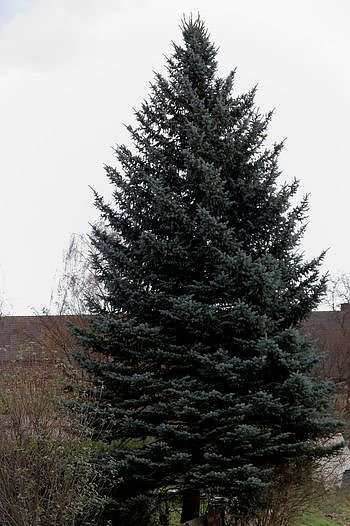 Bild: Geschenk f&uuml;r Nordhausen